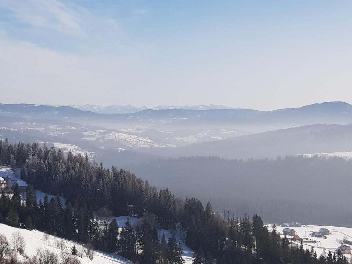 Agroturystyka Koronkowe Zacisze Koniaków Exterior foto