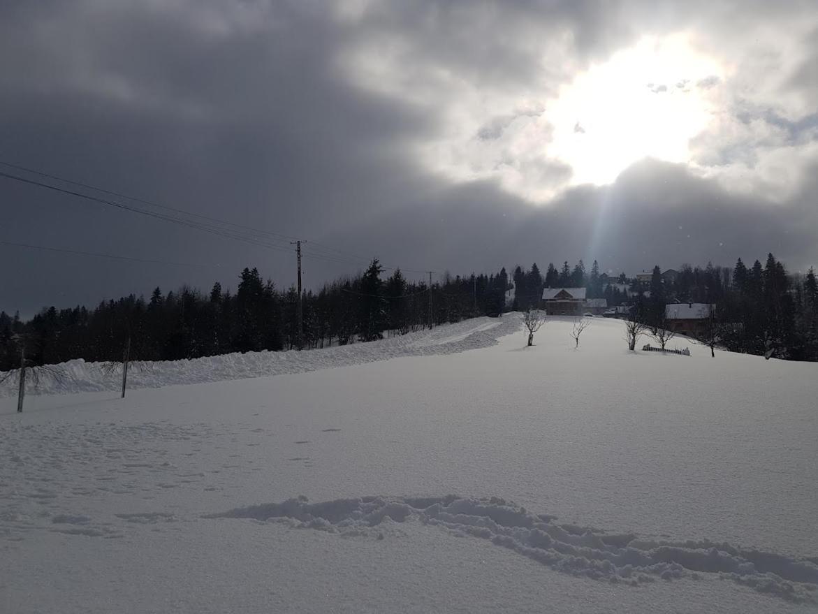 Agroturystyka Koronkowe Zacisze Koniaków Exterior foto